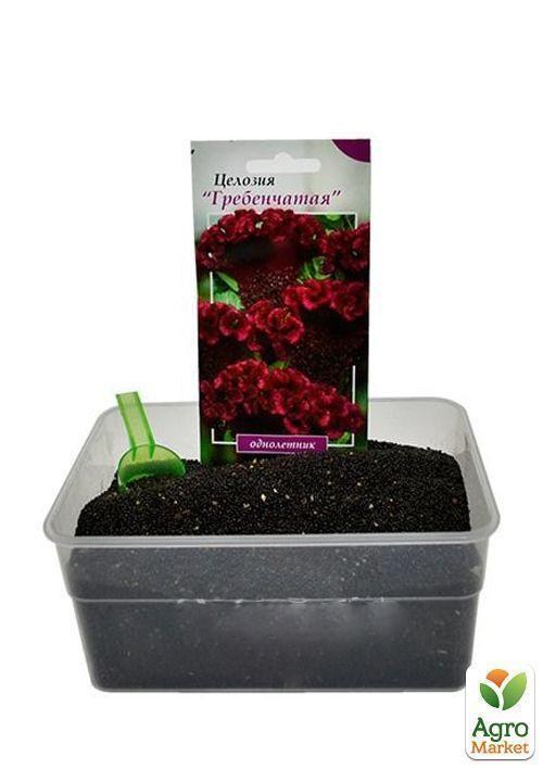 На развес Целозия гребенчатая ТМ "Весна" цена за 4г - фото 4