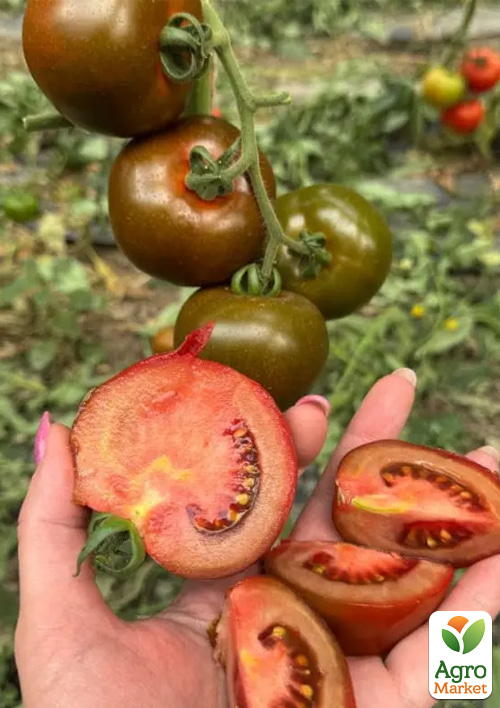 Томат "Порцелян F1" ТМ "Syngenta" 100шт - фото 3