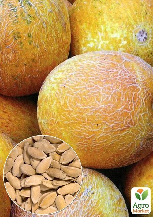 На вагу Диня "Колгоспниця" ТМ "Весна" ціна за 5г