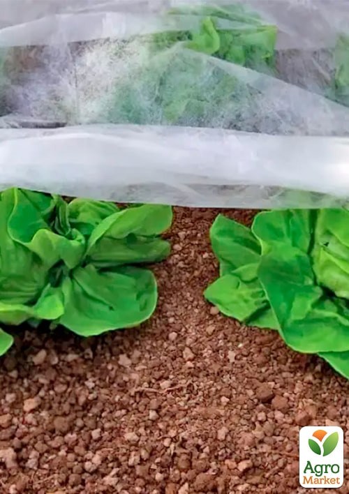 АГРОволокно укрывное (белое) Плотность 30, Ширина 1.6м, Длина 5м. - фото 3
