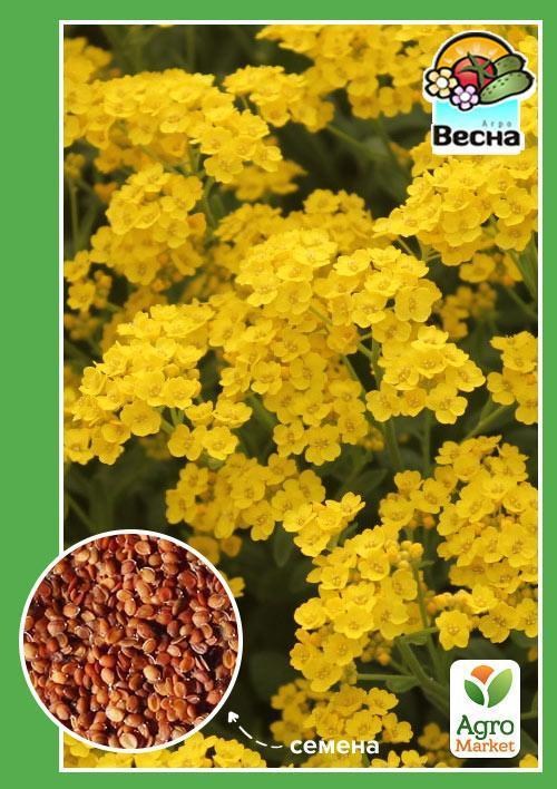 Алиссум "Золотая пыльца" ТМ "Весна" 0.1г