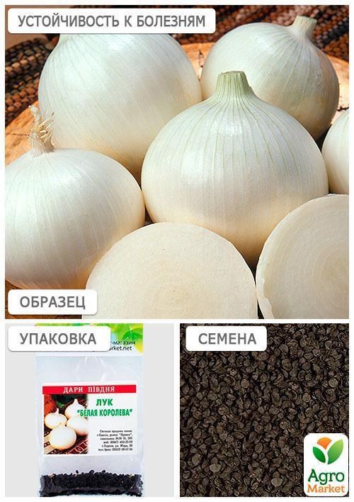 Цибуля"Біла королева" (Зипер) ТМ "Весна" 1г - фото 3