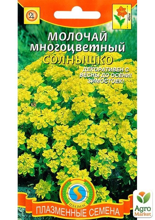 Молочай багатобарвний "Сонечко" ТМ "Плазмові насіння" 10шт NEW