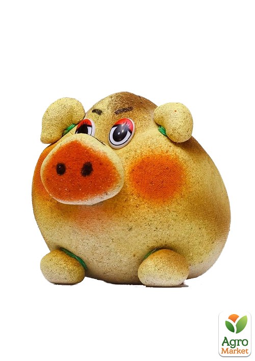 Набор для выращивания Травянчик Кабанчик