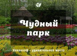 Кекенхоф - королівський парк квітів