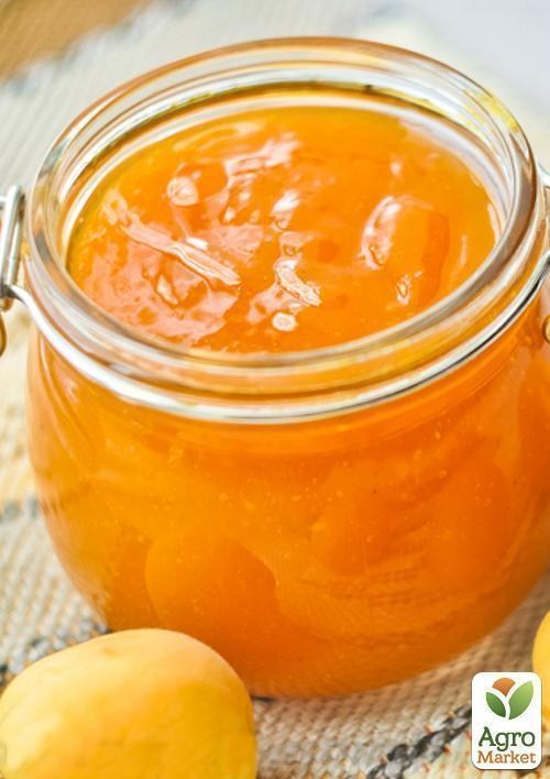 Абрикос "Ботсадовській" - фото 2