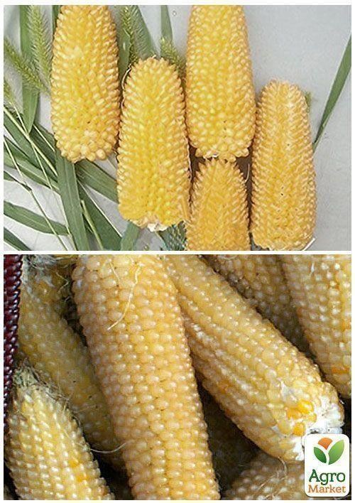 На развес Кукуруза "Поп-корн" ТМ "Весна" цена за 20г - фото 4