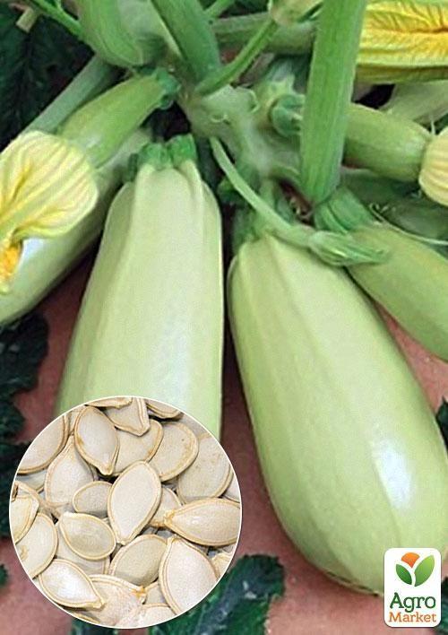 На развес Кабачок "Акробат" ТМ "Весна" цена за 8г