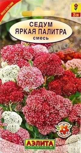Седум "Яскрава палітра" суміш ТМ "Аеліта" 0.03г