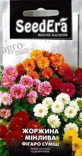 Георгина изменчивая "Фигаро смесь" ТМ "SeedEra" 0.5г