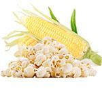 Насіння кукурудзи попкорн