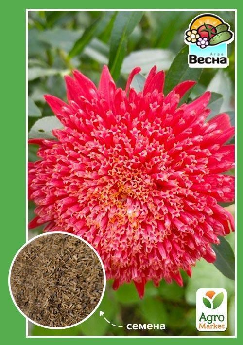 Айстра "Принцеса червона" ТМ "Весна" 0.2г