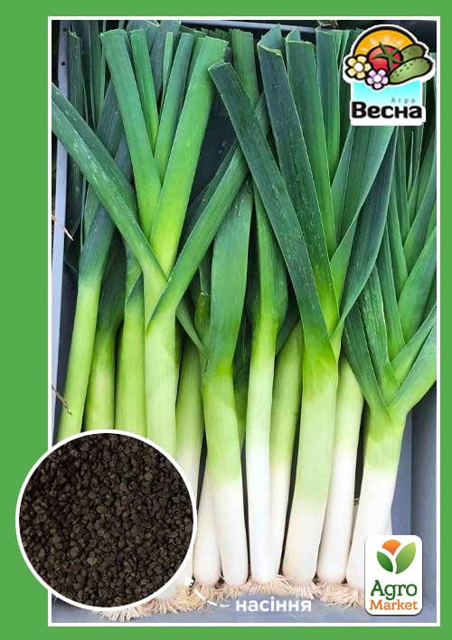 Цибуля-порей ТМ "Весна" 0,5г