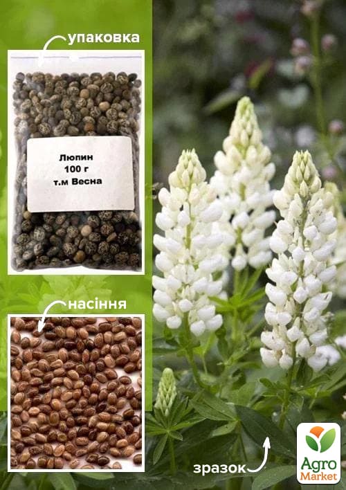 Люпин " ТМ "Весна" 100 г