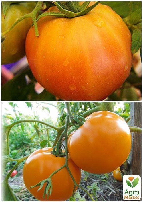 На вагу Томат "Лимонний гігант" ТМ "Весна" ціна за 1г - фото 3