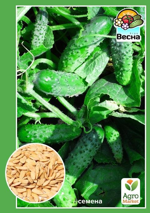 Огурец "Детки на ветке F1" ТМ "Весна" 0.5г