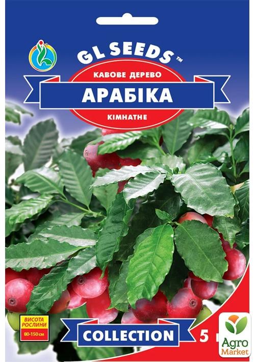 Кавове дерево кімнатна "Арабіка" ТМ "GL SEEDS" 5шт