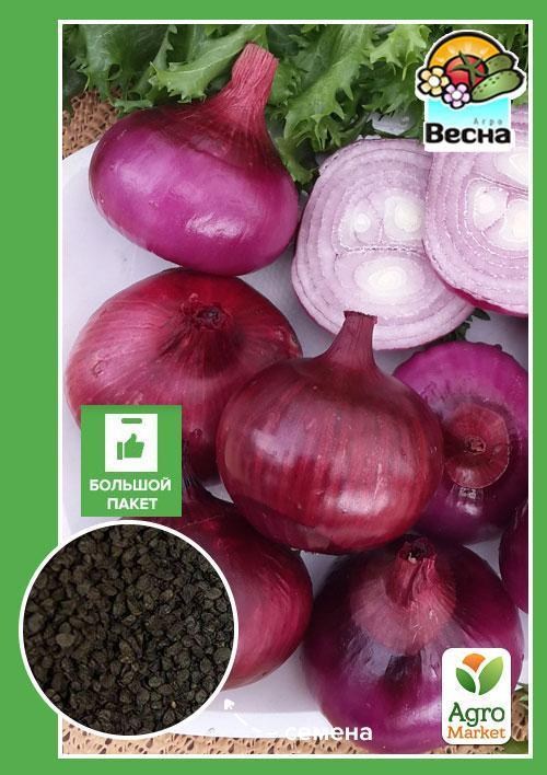 Цибуля "Веселка" (Великий пакет) ТМ "Весна" 2г