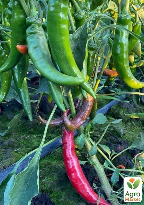 Перец острый "Хирош F1" ТМ "Lark Seeds" 1000шт