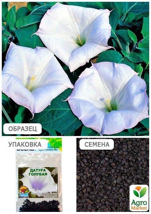 Датура "Блакитна" (Зипер) ТМ "Весна" 2г - фото 4