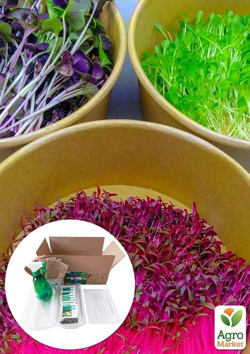 Набір для пророщування мікрозелень "Корисний город"