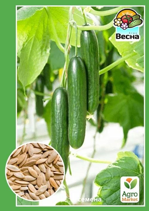 Огурец "Хулиган" (Новый пакет) ТМ "Весна" 0.2г