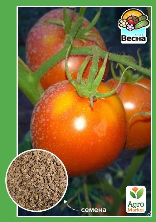 Томат "Гібрид Тарасенко 6" ТМ "Весна" 0.1г