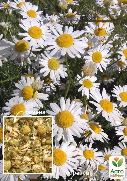 Ромашка лікарська ТМ "Весна" 100г
