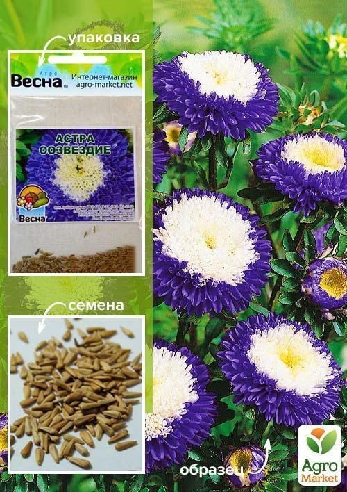 Астра "Созвездие" (Зипер) ТМ "Весна" 0,5г