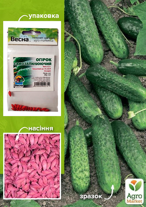 Огурец обработанный "Самоопыляемый" (Зипер) ТМ "Весна" 0.5г