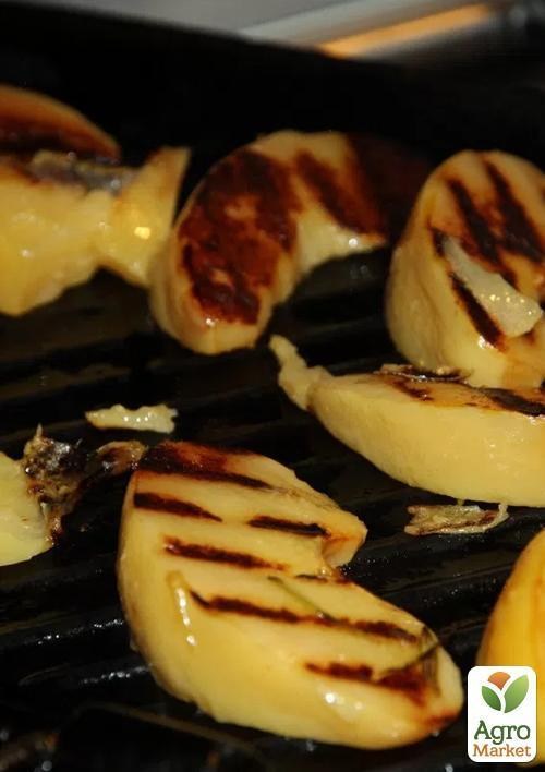 Айва "Кубанська урожайна" (осінній сорт, ранній термін дозрівання) - фото 4