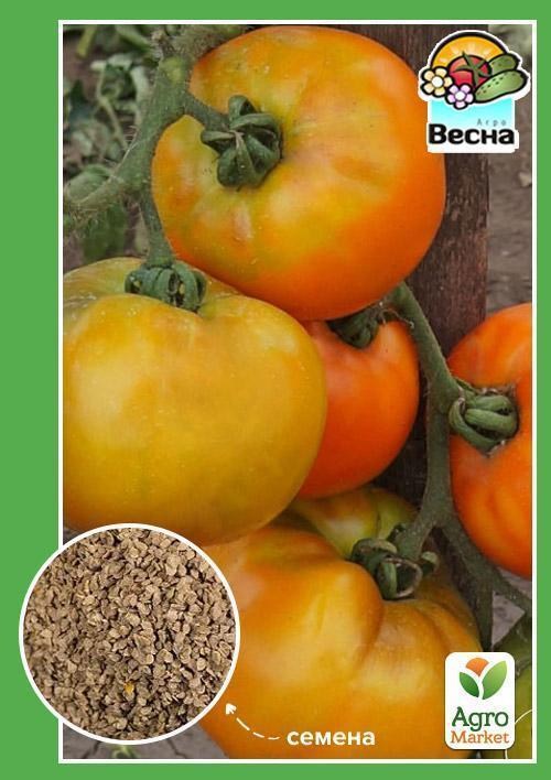 Томат "Воловье сердце оранжевый" ТМ "Весна" 0.1г