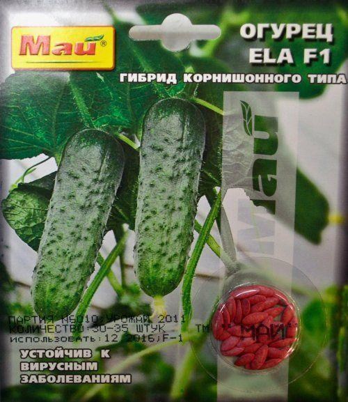 Огірок "Ela F1" ТМ "Май" 30-35шт