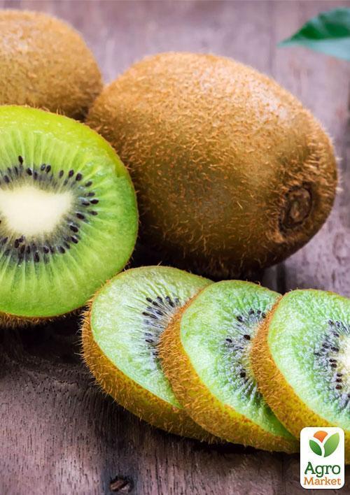 Эксклюзив! Киви темно-коричневый "Мистер Майк" (Mr. Mike) (премиальный супер сочный сорт, перекрестное опыление, садить по 2шт) - фото 5