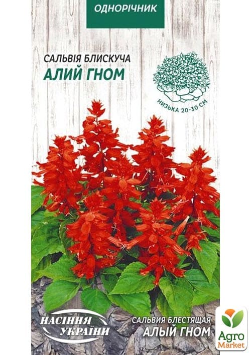 Сальвія блискуча "Алий гном" ТМ "Насіння України" 0.2г