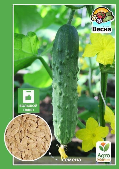 Огірок "Лялюк" (Великий пакет) ТМ "Весна" 2г