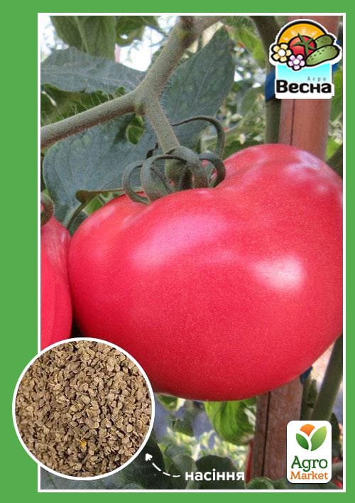 Томат "Розовая жемчужина" ТМ "Весна" 0.2г
