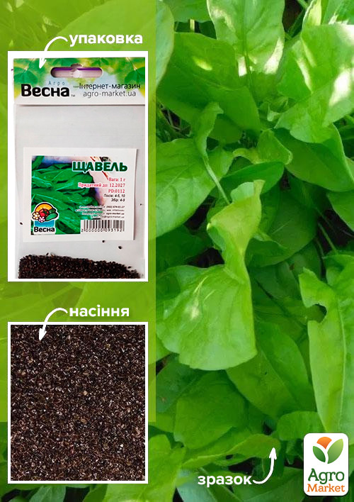 Щавель (Зипер) ТМ "Весна" 1г