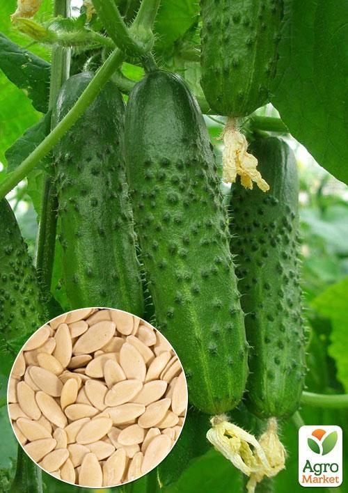 На вагу Огірок "Джерело" ТМ "Весна" ціна за 2г