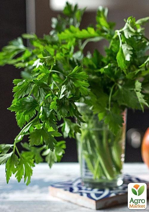 Петрушка "Карнавал" (в банке) ТМ "Весна Органик" 30г