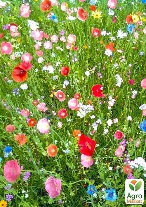 Мавританский газон (Зипер) ТМ "Весна" 15г - фото 3