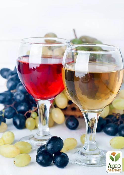 Виноград "Сонячні краплі" - фото 3