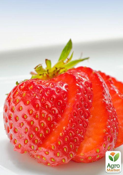 Полуниця "Королева Єлизавета" (ремонтантний сорт, ранній термін дозрівання) - фото 8