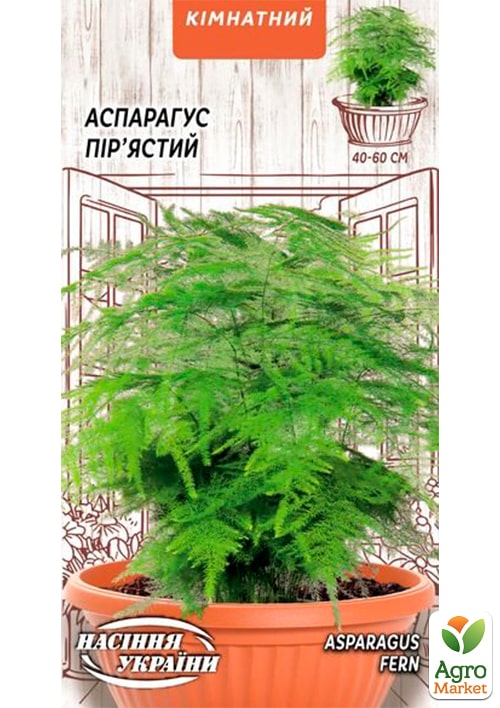 Аспарагус "Перистый" ТМ "Семена Украины" 0.2г