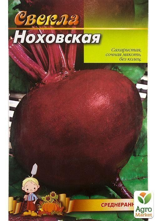Буряк "Ноховський" (Великий пакет) ТМ "Весна" 6г - фото 2