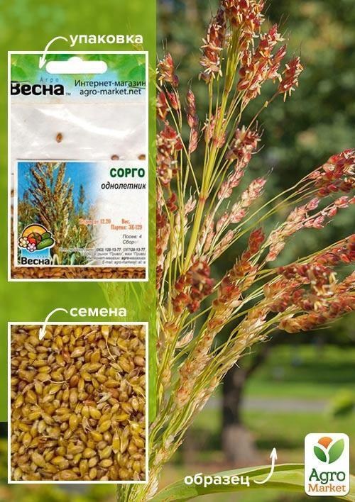 Сорго веничное (Зипер) ТМ "Весна" 15г