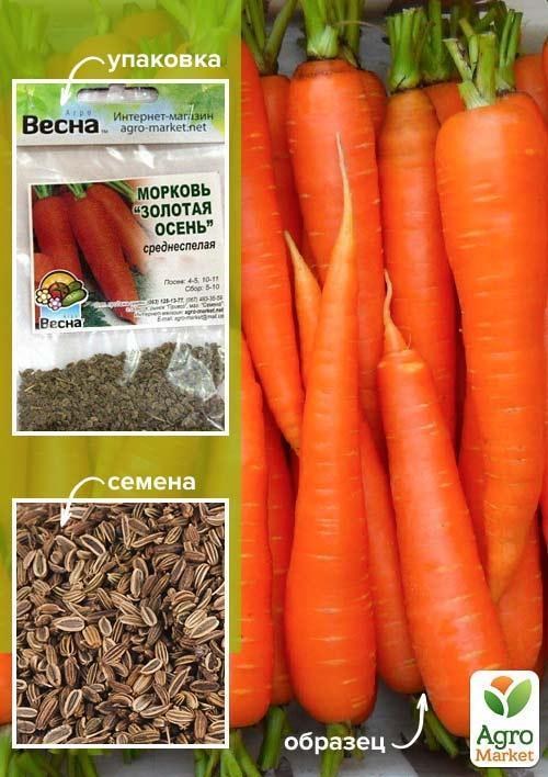 Морковь "Золотая осень" (Зипер) ТМ "Весна" 5г