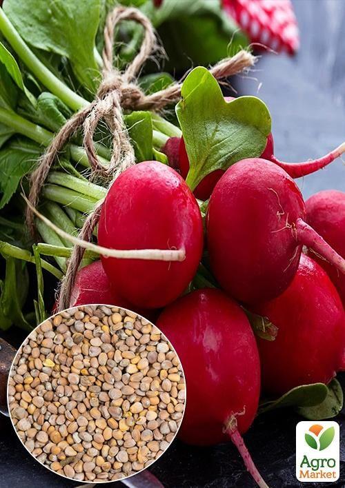 На развес Редис "Подснежник" ТМ "Весна" цена за 10г