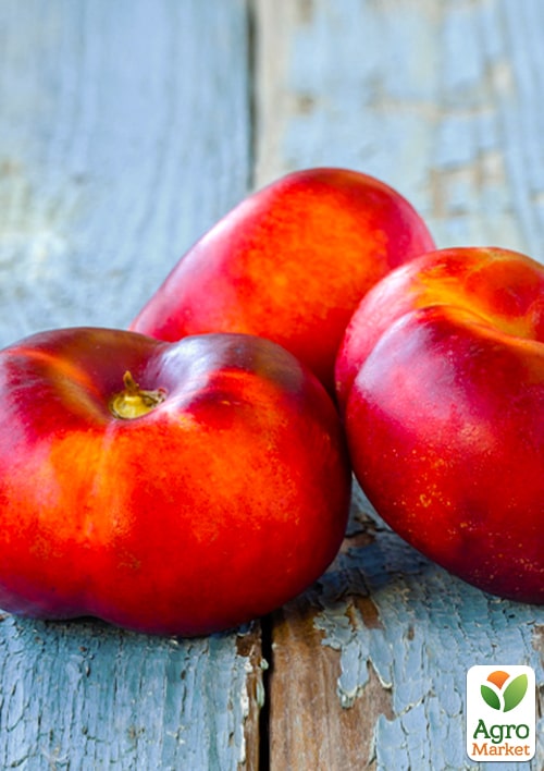 Инжирный нектарин пирамидальный "Ориола" (Oriola)