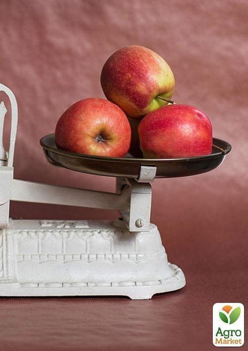 Яблоня "Делькорф" - фото 2